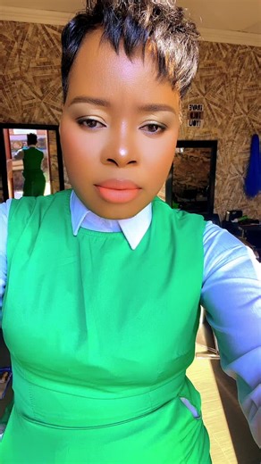 Brindhaven primary school #career day #creatorsearchinsights #fyp #viraltiktok #