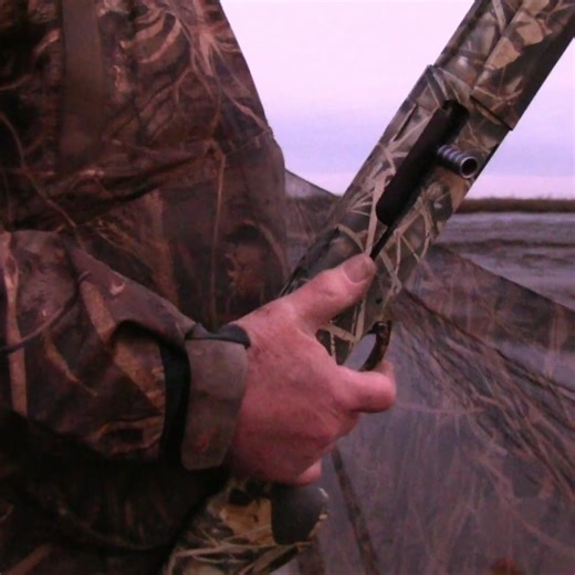 BASC has submitted various shooting sports to the UNESCO list of intangible cultural heritage. BASC has sent in five ‘expressions of interest’ to the Department of Culture Media & Sport for inclusion of shooting traditions on the UK living heritage inventories. They are: coastal wildfowling in Scotland, wildfowling in England, Wales and Northern Ireland, gamekeeping in England, Scottish gamekeeping, and deerstalking. This is the first phase in a process to have these practices recognised as ‘liv