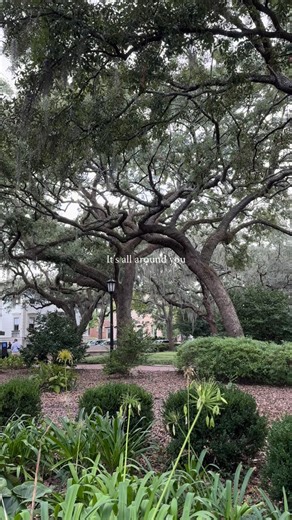 Visit Savannah on Instagram: "It’s the little moments in Savannah that stay with you long after you’ve left ❤️"