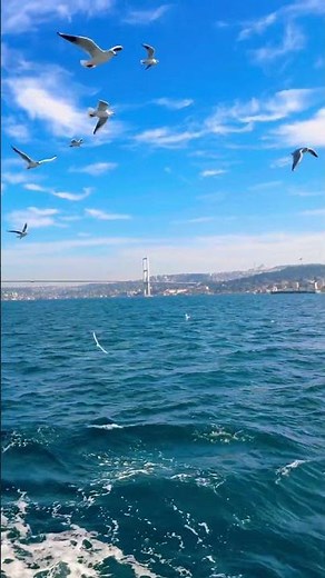Bosphorus Strait – Where Continents Meet 🌍✨#travel #explore #istanbul