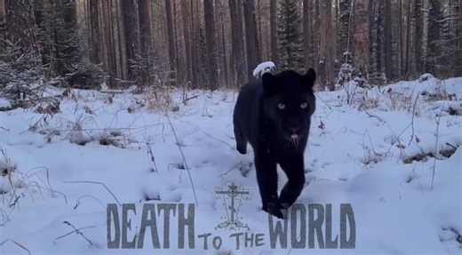 #deathtotheworld #christ #orthodox #catholic #nature Death to the World ✝️🤝☦️