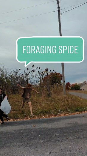 Sumac Spice Blend: A Tangy Tea or Foraging Spice from Kenya