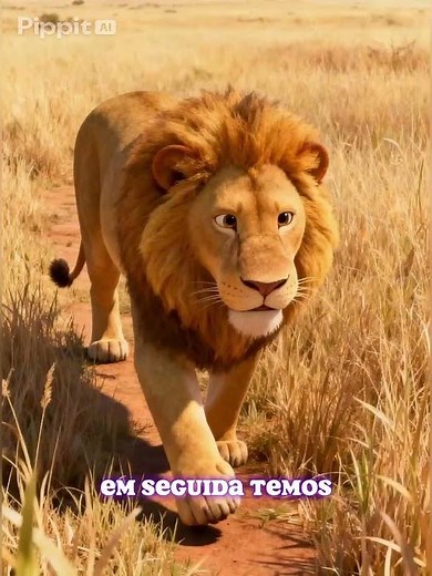 O que é a Cadeia Alimentar? 🐛🌿🦁 | Como os Animais se Alimentam