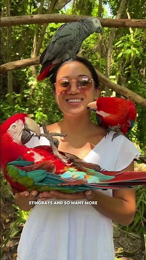 Fun things to do in Jamaica 🇯🇲