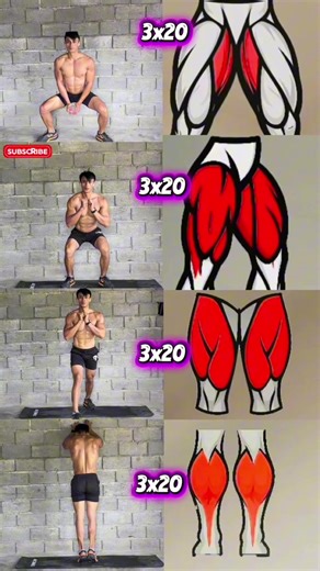 Best Home Workout Routines for Fitness