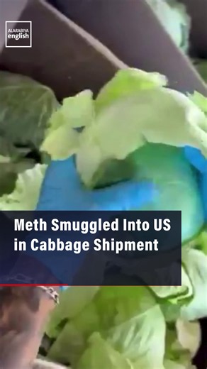 US federal agents in South Texas seize 2,000 pounds of meth hidden in cabbages.