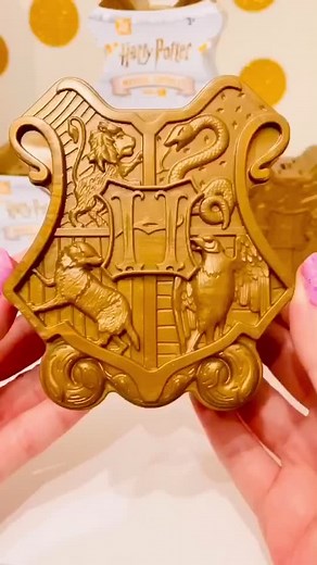 Harry Potter Magical Capsule Unboxing Experience