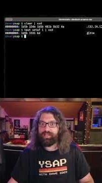 Building a TUI progress bar from scratch - showing ANSI escape codes