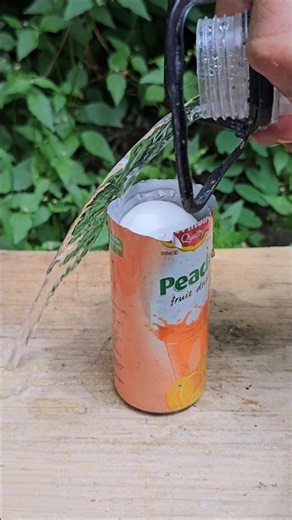 Boiling an Egg in a Cut Juice Can! 🥚🔥 | DIY Bushcraft Cooking Hack