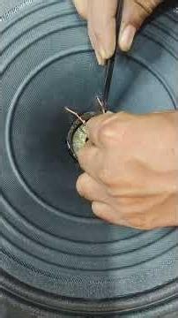 Speaker Repairing | Complete Speaker Restoration | DJ Speaker Repair Guide