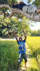 See What Happened to the Man on the Tree! #funny #viral