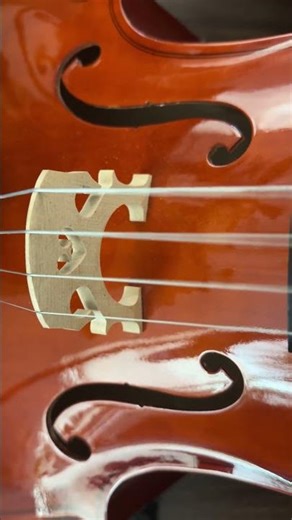 The #cello has a beautiful sound! I play the #violin! 🎻