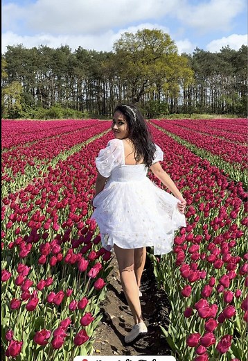 Norfolk Tulips: England's