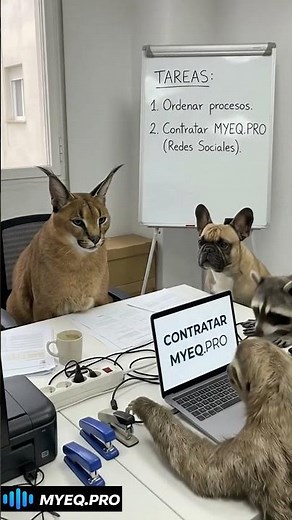 Agencia Creativa - MYEQ.PRO