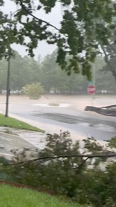 Severe flooding at Allen Parkway and Stanford Street in Houston as Beryl hits Houston. Remember, turn around don't drown and stay at home if at all possible. 🎥 Courtesy of Darrell Cooke 📰 Get the latest on Hurricane Beryl: https://trib.al/vJw2zrL | Chron