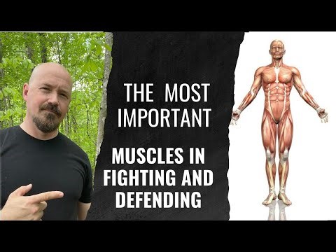 The MOST Important Muscles in Fighting/Defending & WHY