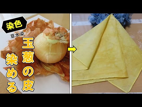 【草木染】玉ねぎの皮で染めるやり方。/onion skin dye