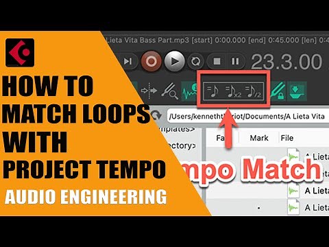 How To Match Sample Loops With Project Tempo In Cubase 🔥 #mixing #plugins #music #arrangement
