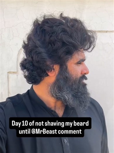 Day 10: Beard Grows Until MrBeast Comments