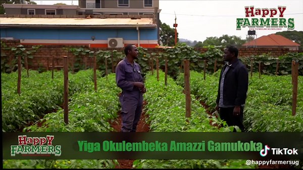 Understanding Drip Irrigation for Farmers in Uganda