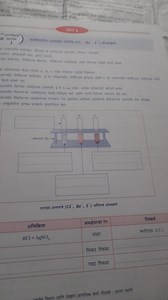 Identify the halide ions (Cl⁻, Br⁻, I⁻) in the solution.Label... | Filo