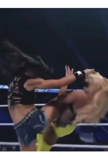 Aj Lee's Impressive Moveset: A WWE Highlight