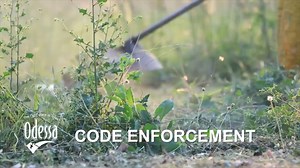 26 reactions · 30 comments | This month on Know Your Code, Code enforcement discusses high grass and weeds. #knowyourcode #codeenforcement #takeprideinyourneighborhood | City of Odessa, Texas | Facebook