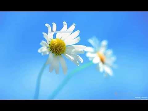 3 ways to copy files within a folder