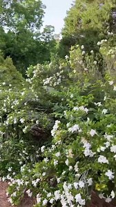 2.1K views · 27 reactions | A peek at a few pool updates and MY COZIEST GO-TO SLIDES!  If you have any type of foot pain or lower back pain, you can thank me later… Details… https://rslides.com/products/rslides-all-day-foot-comfort-1 | Addison's Wonderland Blog | Facebook