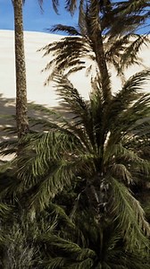 Palms Oasis Desert Stock Footage Video (100% Royalty-free) 3793213093 | Shutterstock