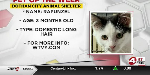 Pet of the Week: Radiant Rapunzel