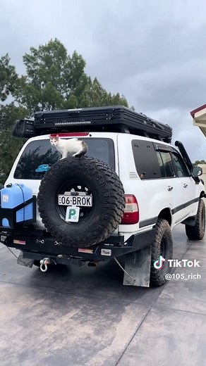 🐱 #105series #1hzturbo #4x4 #wagon #bus #yew #meow