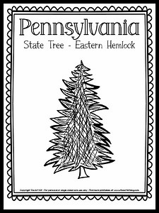 Pennsylvania State Tree Coloring Page (Eastern Hemlock){FREE Printable!}