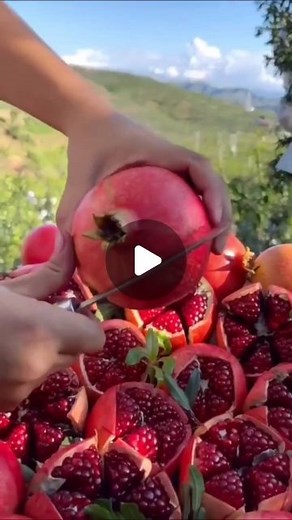 LetsEats on Instagram: "Eat or pass!! Follow ⏩ @lets.eats.co #food #foodporn #foodie #instafood #foodphotography #foodstagram #yummy #foodblogger #foodlover #vegan #love #delicious #sandwich #chicken #healthyfood #burger #reels #foodgasm #tasty #sandwichlover #cooking #foodies #sandwiches #snacks #foodvideo #cheese #reelsinstagram #asmr #healthy #bhfyp"