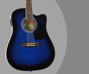 Jameson Acoustic Electric Guitar Review [Popular Full Size Thinline]
