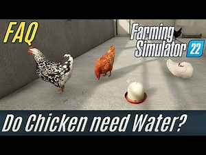 Do Chicken need Water? FS22 FAQ