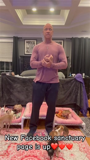 OK, so this is for all of my Facebook followers. I’ve put up a new page on Facebook. It is called big guy, Little’s world sanctuary official. All the information is in the video. So that you know, it’s me. I will provide the link below although I know on Instagram, you can’t actually click the link. So if you’re on Instagram or TikTok or YouTube, go to my other sanctuary page on Facebook, which will have the actual link for it. Thank you guys so much through this ridiculously tough transition.❤️