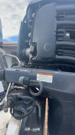 Send help 🥲🥲 | Elusive Catch