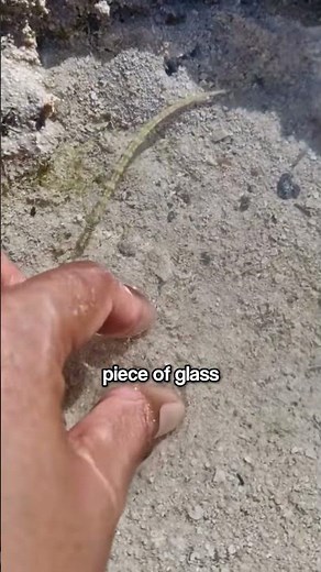 How This Girl Discovered a Completely Invisible Fish in the Water 🐠✨