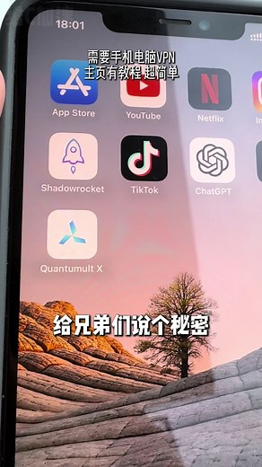 梯子、VPN、加速器推荐，小火箭、Clash节点，维C加速 #vpn #节点 #tiktok直播 #tiktok运营