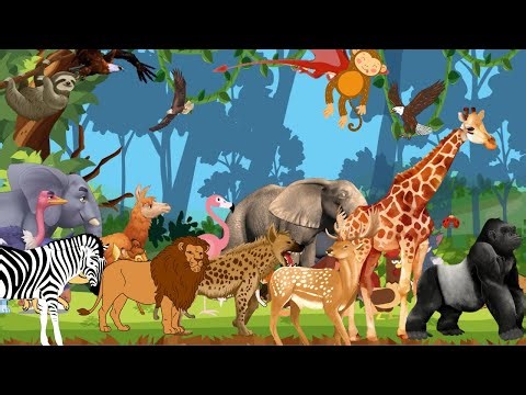 Wild Safari Animal Sounds Song | Real Animal Noises | Nursery Rhyme for Toddlers