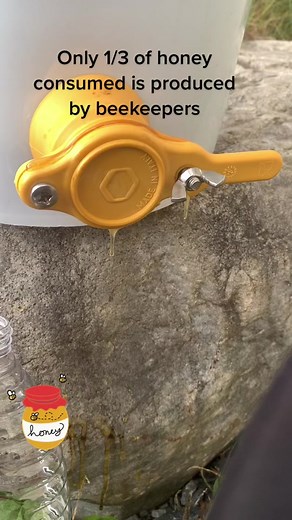 Female Beekeeper Harvesting Fresh Honey | KC Bees