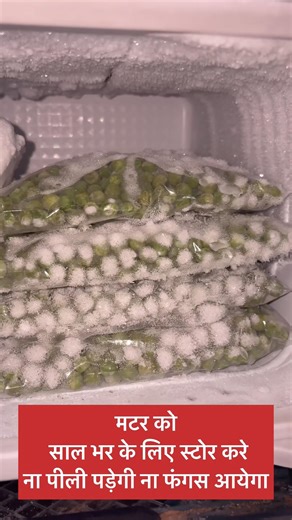 How to store green peas 🫛for long time/ मटर को साल भर के लिये स्टोर करे#kitchentips#greenpeace#diy