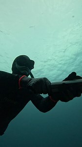 Expert Underwater Spearfishing | Ryan Myers