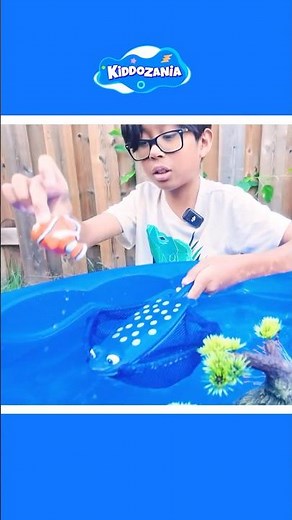 Water Table Play & Finding Nemo Toy Characters | Sea Animal Toys for Kids