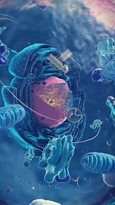 la cellules La cellule est l'unité structurelle et fonctionnelle de base de tous les êtres vivants, un mini-organisme microscopique entouré d'une membrane, contenant du cytoplasme et, pour la plupart, un noyau avec l'ADN. Elle assure les fonctions de la vie comme la croissance, le métabolisme et la reproduction, et peut exister seule (organismes unicellulaires) ou en grand nombre (organismes pluricellulaires). | Biologies médicales