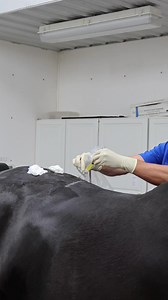 1.1K views · 24 reactions | The injection of Alpha-2-Macroglobulin is...