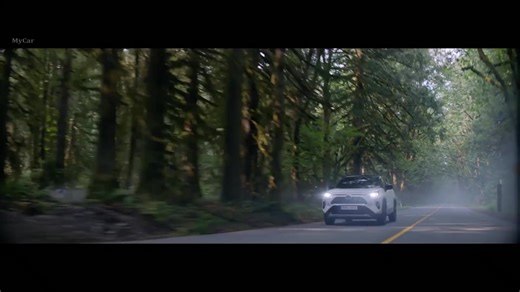 2019 Toyota RAV4 -神奇的SUV