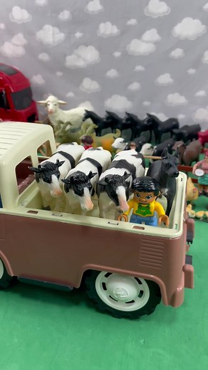 World Marshall no TikTok