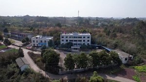 四川晚熟柑橘研究院便携式光合-荧光测量系统GFS-3000使用展示